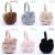 New Plush Earmuff Children Warm Earmuffs Cold Protection in Winter Cute Rabbit Student Ear Warmer in Stock Wholesale