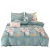 Winter Milk Fiber Four-Piece of Bed Skirt Thick Flannel Fleece-Lined Double Bed Sheet Duvet Cover Coral Fleece Bedding