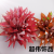 Hawaii Beach Floral Series Elastic Band Bandeau Updo Hair Accessories Head Flower Artificial Flower Fabric Silk Flower