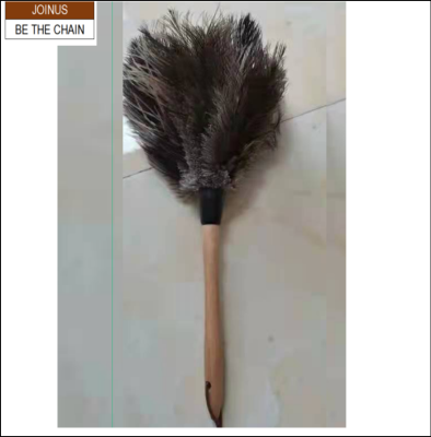   OSTRICH FEATHER DUSTER AF-3854-1