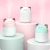 New Cute Pet Humidifier Small Portable USB Household Desk Atomizer Car Aromatherapy Mute Humidifier