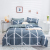 Top-Selling Product Fashion Bedding Four-Piece Three-Piece Quilt Cover Bed Sheet and Pillowcase Factory Direct Sales