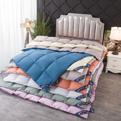 New Twill Anti-Feather Cloth Winter  Duvet Quilt for Spring and Autumn Feather Silk Cotton Quilt AB Version Solid Color