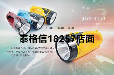 Taigexin Led Rechargeable Hand Lamp 3050