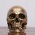 Resin Skull Halloween Ornaments Resin Skull Human Skull Model Christmas Creative Decoration