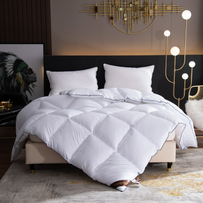 Winter Thickening Downfull Soybean Quilt Hotel Anti-down Thermal Winter Duvet Student Dormitory Quilt Factory Wholesale