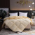 Winter Thickening Downfull Soybean Quilt Hotel Anti-down Thermal Winter Duvet Student Dormitory Quilt Factory Wholesale