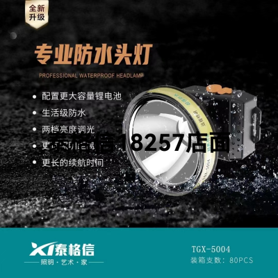 Taigexin Waterproof Headlamp 5004