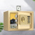 Factory Supply 17e Mini Safe All-Steel Password Anti-Theft Alarm Equipment Wholesale Household Anti-Theft Safe