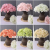 Simulation Wedding 5 Heads Hydrangea Emulational Flower and Silk Flower Arch Road Lead Flower Flower Wall Flower Arrange