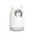 Cute Pet Bear New Mini Humidifier USB Colorful Night Lamp Home Office Mute Air Aromatherapy Humidifier