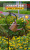 Cross-Border Hot Sale Solar Kettle Lamp Villa Garden Decoration Shower Iron Copper Wire Hollow Solar Energy Lawn Lamp