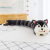 Cute Plush Toy Long Sleeping Pillow Husky Doll Two Ha Caterpillar Doll Children Doll Boys