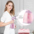 New Portable Handheld Garment Steamer Household Mini Small Steam and Dry Iron American Standard British Standard European Standard Cross-Border