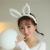 Internet Celebrity Same Winter Plush Long Ears Rabbit Ears Student Headband Hairpin Bear Ears Washing Face Hair Band Headband