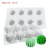 8-Piece Cactus Silicone Mold DIY Mousse Cake Chocolate Mold Chinese White Jelly Jelly/Pudding Mold