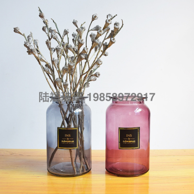 Nordic Simple Vase Ins Style Short Large Mouth Glass Bottle Creative Arts Hydroponic Transparent Modern Flower Arrangement Ornaments