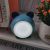 Adorable Pet Small Night Lamp LED Touch Electrodeless Dimming Bedroom Sleep Night Light USB Charging Bedside Small Night Lamp