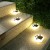 Solar Courtyard Ambience Light