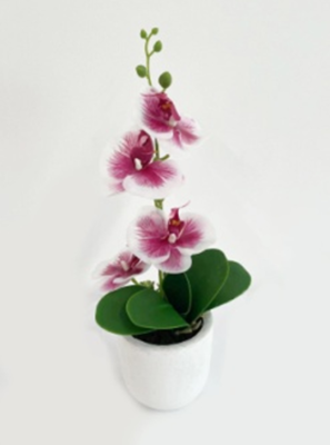 Artificial Phalaenopsis Potted Artificial Flower Bonsai Decoration Office Tea Table Table Decorative Ornaments