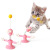 Pet Supplies Factory Home New Hot Amazon Turntable Windmill Cat Teaser Spring Bird Cat Self-Hi Toy Ball