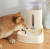 Automatic water feeder