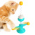 Pet Supplies Factory Wholesale Company New Hot Amazon Cat Toy Spring Cat Turntable Ball Cat Teaser