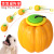 Pet Supplies Factory Wholesale Company New Popular Amazon Dog Molar Training Ball Pumpkin Hand Throwing Toy