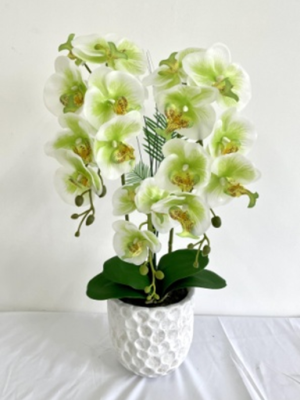 Factory Direct Sales Simulation Phalaenopsis Potted Fake Flower Living Room Decorative Ornaments Floral Home Display Flowers Potted Plant