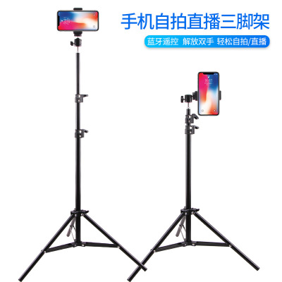 Mobile Phone Holder Live Tripod TikTok Kwai Anchor Photography Selfie Tablet Floor Folding Tripod