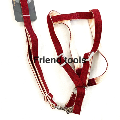 Pet Chain Dog and Cat Hand Holding Rope