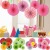 Paper Flower Fan DIY Background Wall Decoration Wedding Birthday Party 6-Pack Three-Dimensional Colorful Folding Ornaments Paper Fan