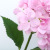 Simulation Moist Feeling Hydrangea Wedding Props Wedding Artificial Flower Home Decorative Fake Flower Potted Plant