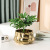 Jinbao Modern Light Luxury Golden Ceramic Electroplating Flower Pot Home Soft Decoration Ornament Vase Ornaments Vase Decoration