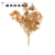 Electroplating Flowers and Plants Gold and Silver Plated Plastic Flowers Artificial Flower Christmas Flower Decoration Wedding Office Home Furnishings