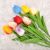 Cross-Border Direct Supply Simulation Pu Mini Tulip Wedding Photography Shooting Props Family Party Decorative Fake Flower