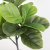  Home Decorative Floor Ornaments Simulation Plant Potted Foreign Trade Cross-Border E-Commerce Best-Selling Ficus Lyrata