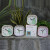 Square Jump Second Cactus Alarm Clock Fashion Simple Student Bedside Alarm Clock Lazy Cute Seat Clock Simple Bedside
