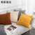 Modern Simple Ins Style Pillow Living Room Sofa Cushion Bay Window Bedside Cushion Faux Cashmere Pillow Cover Wholesale