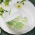 Huaguang Porcelain Bone China Tableware High Temperature in-Glaze Decoration Bowl Dish Plate Spoon Set Spring Garden