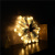 Wholesale new Christmas decoration lights 18 inch brushed Ch