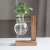 Creative Wooden Frame Hydroponic Vase Green Dill Plant Transparent Glass Flower Arrangement Container Desktop Decoration
