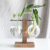 Creative Wooden Frame Hydroponic Vase Green Dill Plant Transparent Glass Flower Arrangement Container Desktop Decoration