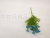 Single New Green Plant Small Flower Decorative Vase Flower Arrangement Dining Room/Living Room Floriculture