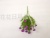 Single New Green Plant Small Flower Decorative Vase Flower Arrangement Dining Room/Living Room Floriculture