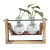 Hydroponic Plant Transparent Wooden Stand Vase Desktop Fresh Container Living Room Modern Decorations Ornaments