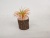 New Small Wooden Pile Succulent Simulation Succulent Crafts Ornaments