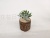 New Small Wooden Pile Succulent Simulation Succulent Crafts Ornaments
