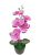 1 Set High Grade Orchids Arrangement Latex Silicon Real Touch Big Size Luxury Table Flower Home Hotel Decor  with Vase