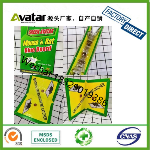 green avatar mouse rat glue board european and american mouse board mouse glue mouse stier
